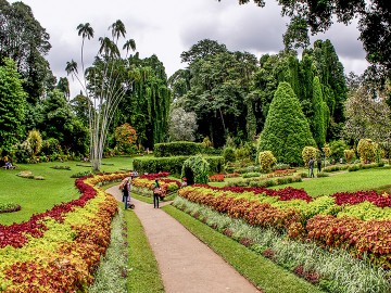 Sri Lanka Explorer